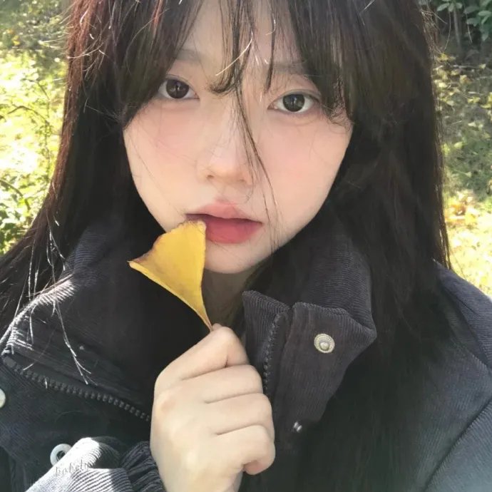 安娜的旅程